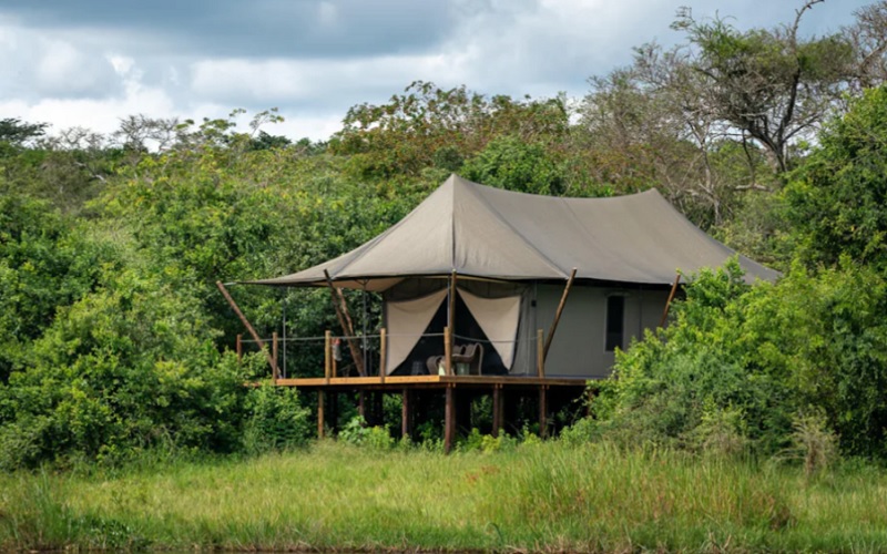 7 Day Land of a Thousand Hills Rwanda Gorilla & Safari Tour